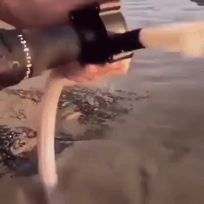 Drill-Powered Water Pump | AquaFlow